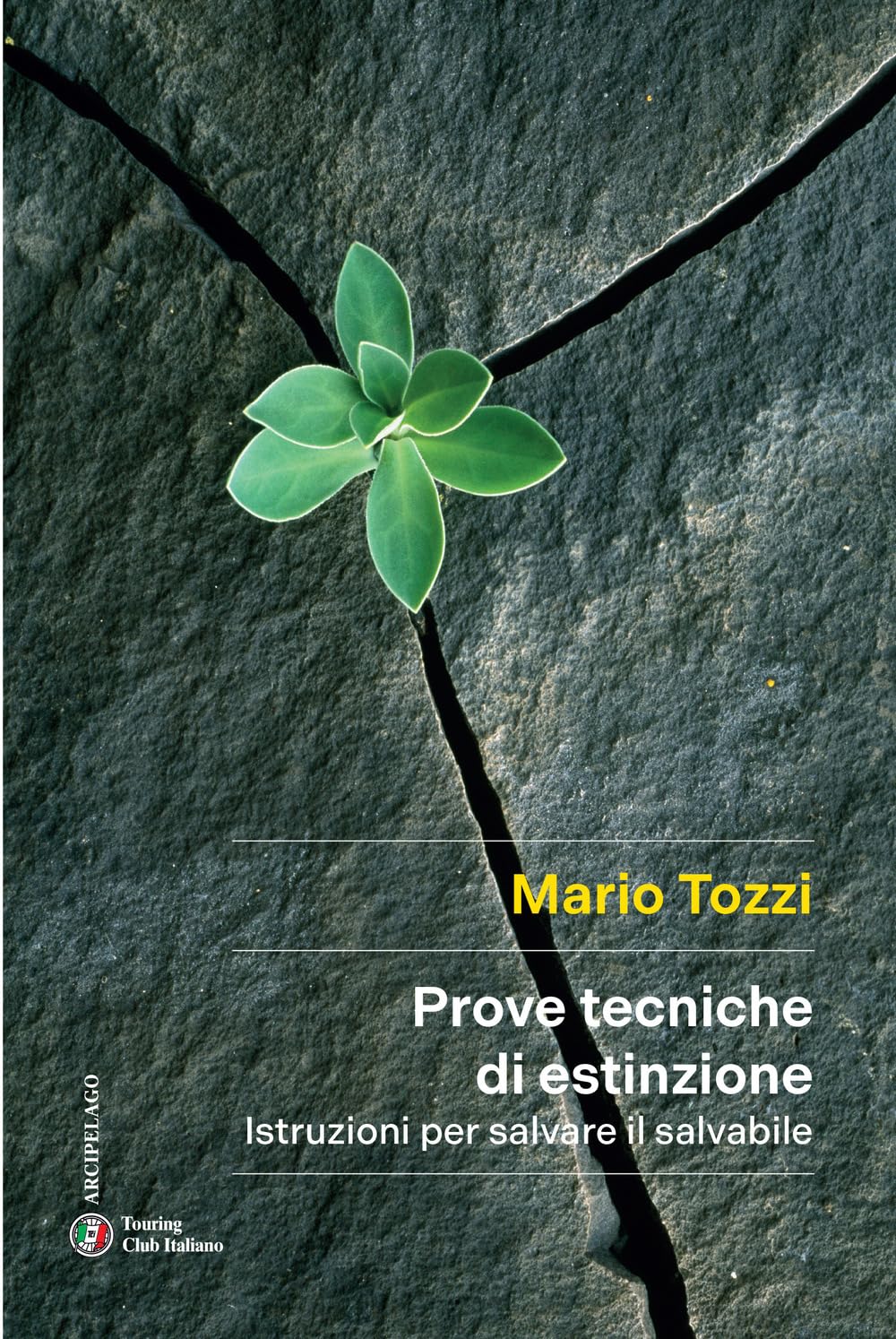 Prove tecniche di estinzione. Istruzioni per salvare il salvabile Mathematics