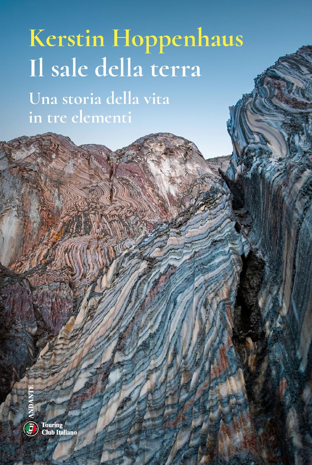 Il sale della terra. Una storia della vita in tre elementi book