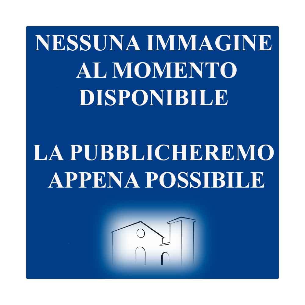 Verso Oriente. Venezia-Pechino sulla via di Marco Polo. book