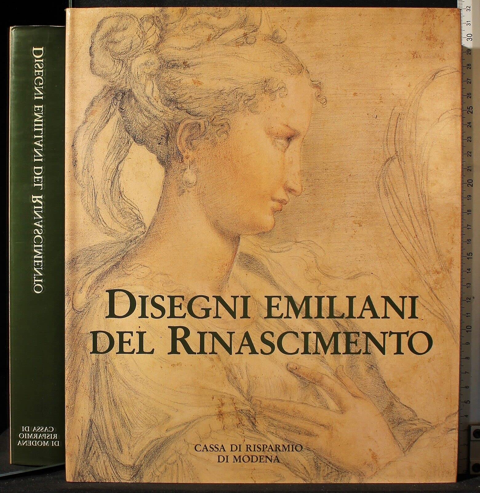 Disegni emiliani del Rinascimento. book