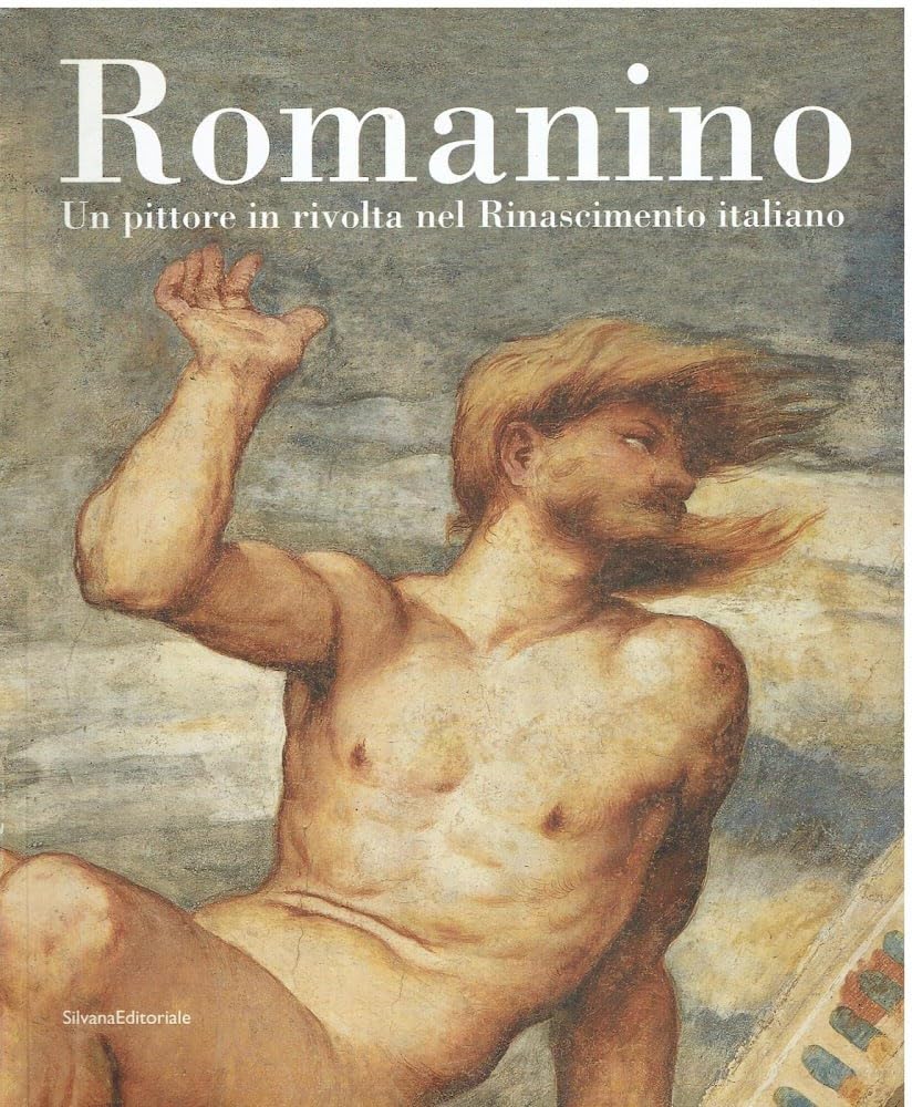 Romanino. Un pittore in rivolta nel Rinascimento italiano book