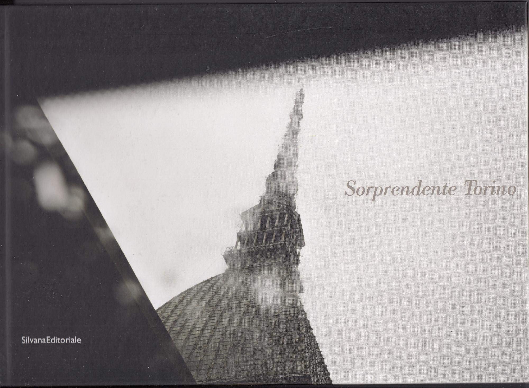 Surprenant turin (bilingue it/fr) book