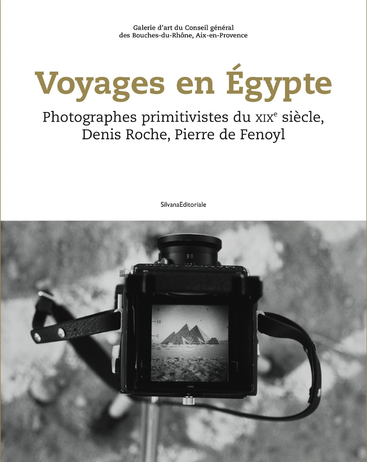 Voyage to Egypt: Photographies primitivistes du XIXe siècle, Denis Roche, Pierre de Fenoyl Arts & Music