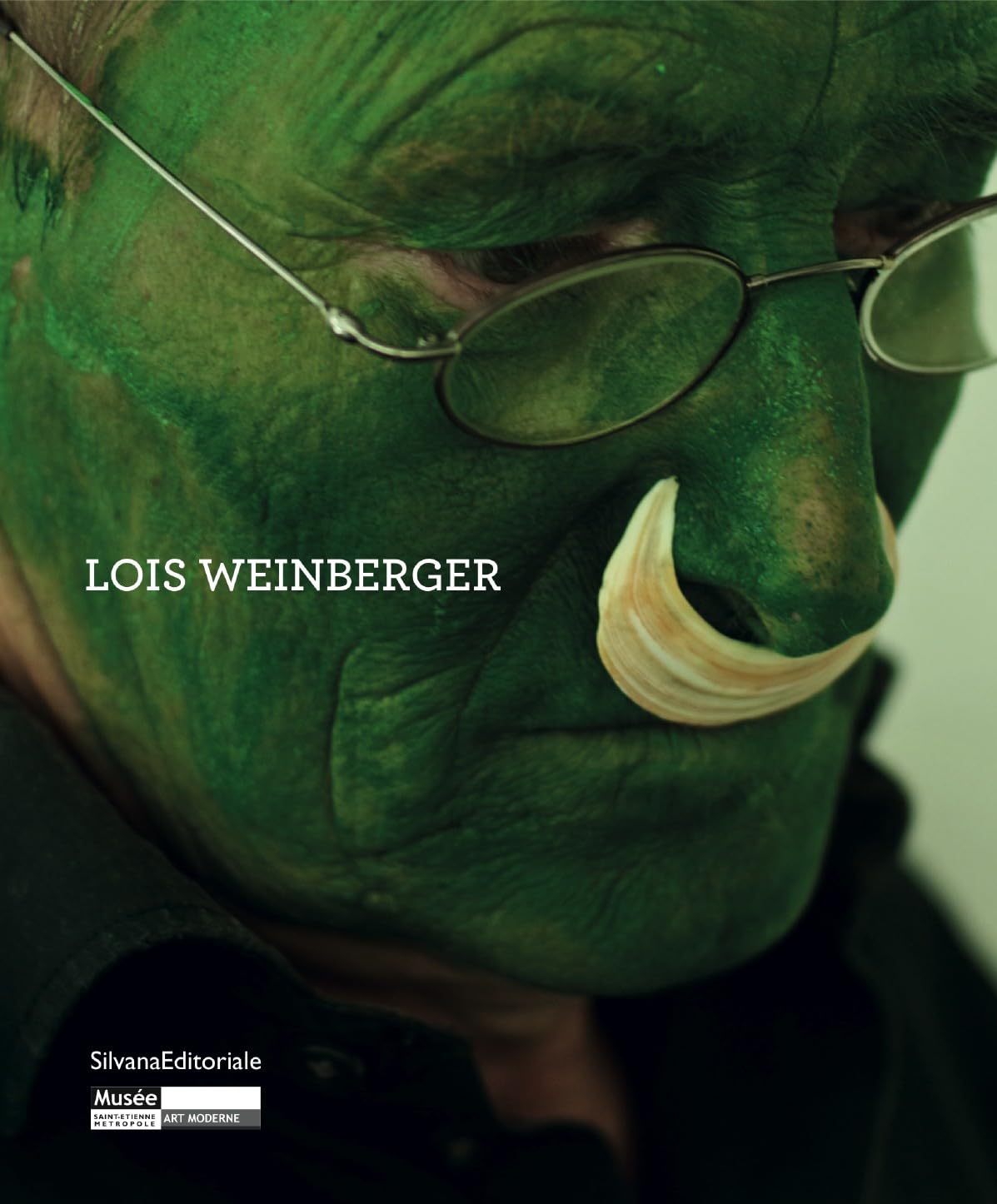 Lois Weinberger : Exposition au Musée d'Art Moderne de Saint-Etienne Métropole du 10 décembre 2011 eu 5 février 2012 book
