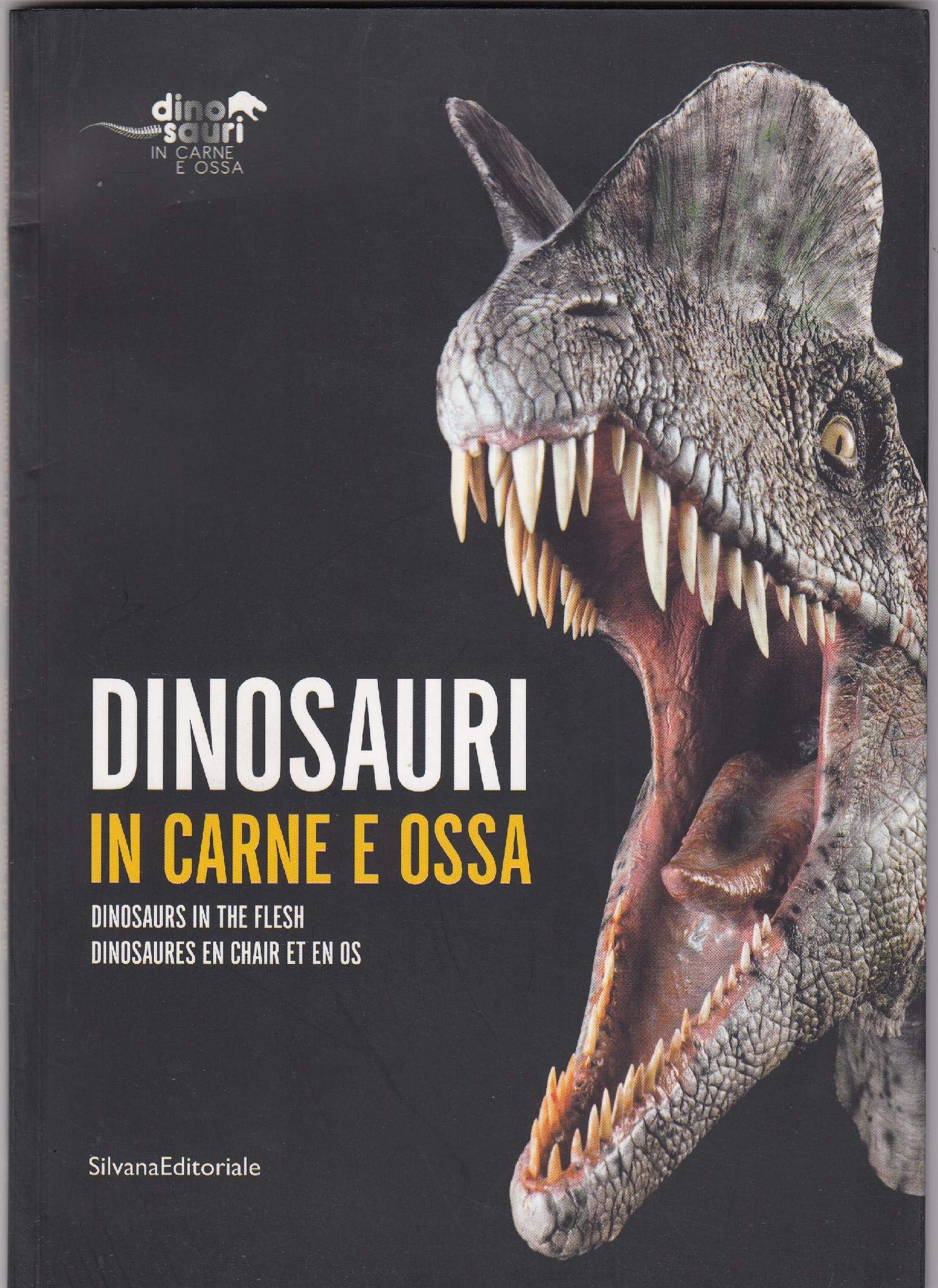 Dinosaures en chair et en os book