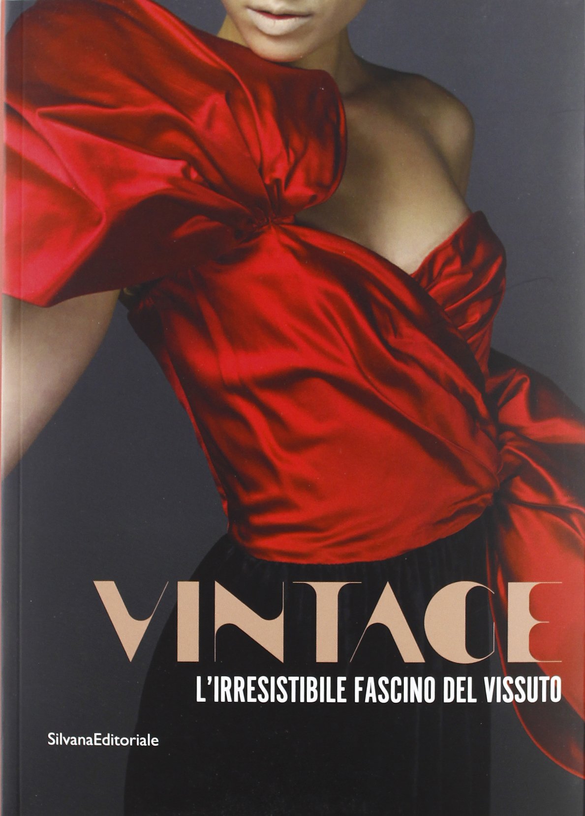 Vintage. L'irresistibile fascino del vissuto. Catalogo della mostra (Prato, 8 dicembre 2012-30 maggio 2013). Ediz. illustrata book