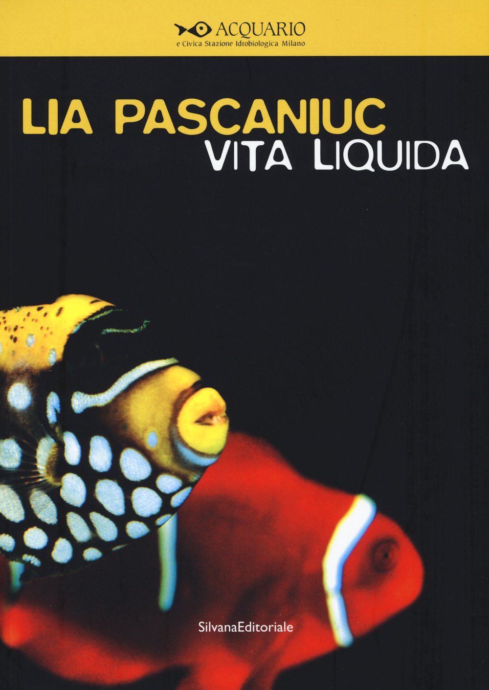 Lia Pascaniuc: Liquid of Life (Cataloghi di mostre) Film, Art & Culture
