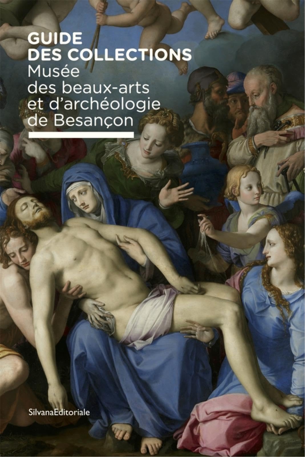 GUIDE DES COLLECTIONS DU MUSEE DES BEAUX-ARTS ET D´ARCHEOLOGIE DE BESANCON book