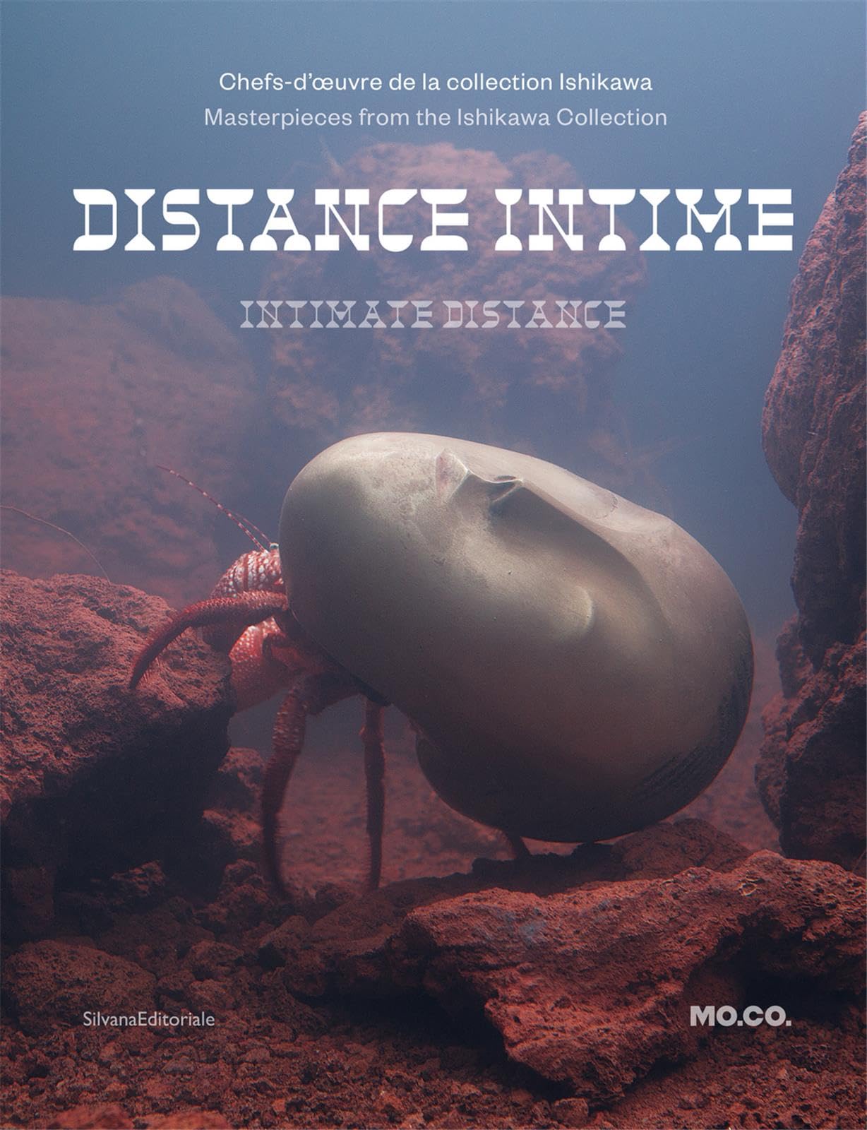 Distance Intime, les chefs d'oeuvre de la Collection Ishikawa book