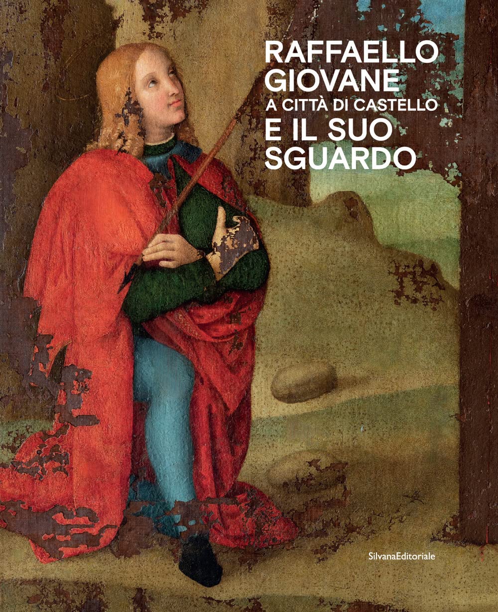 Raffaello giovane a Città di Castello e il suo sguardo. Ediz. a colori book