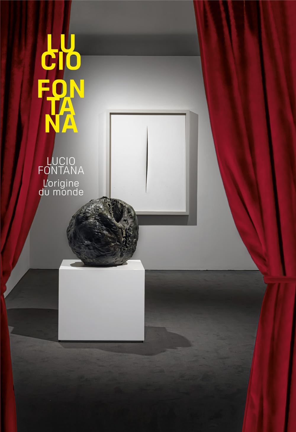 Lucio Fontana. L'origine du monde. Ediz. italiana book