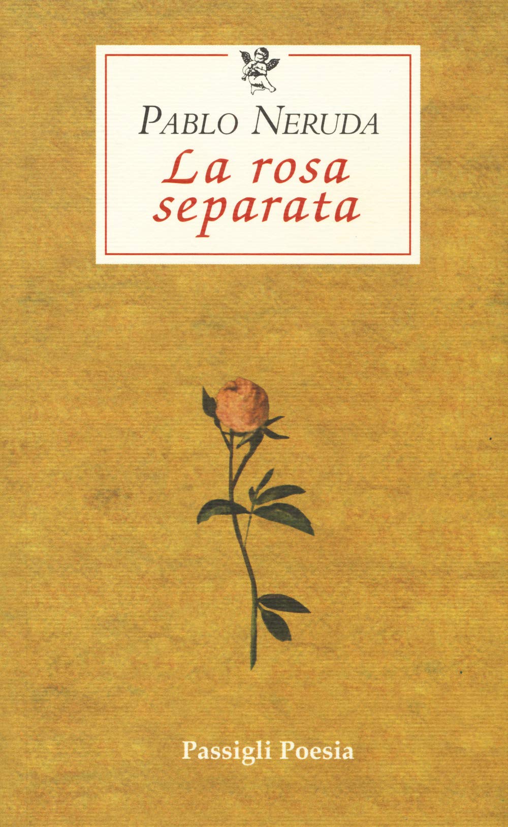 La rosa separata. Testo spagnolo a fronte (Le occasioni) Poetry