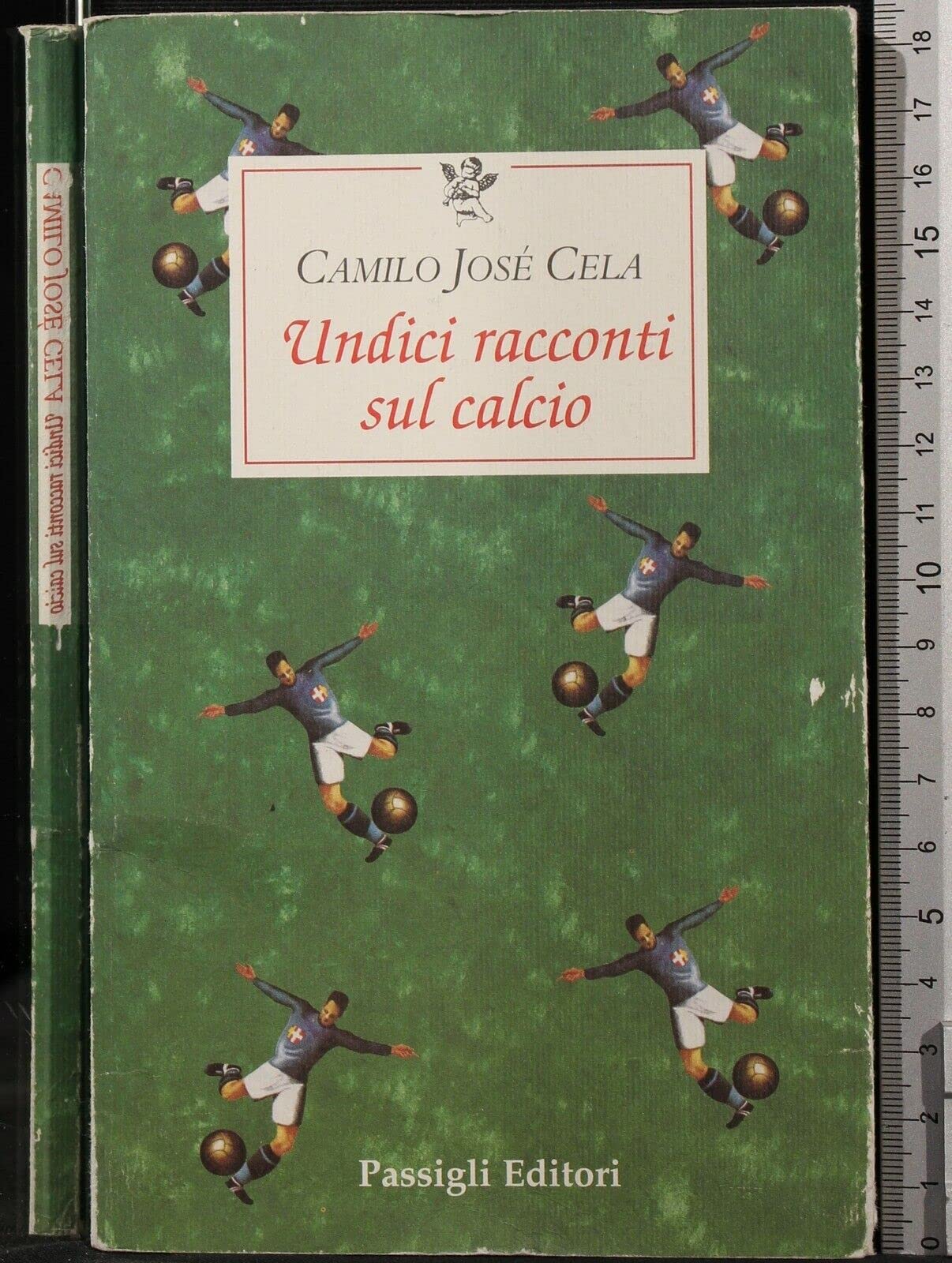 Undici racconti sul calcio book