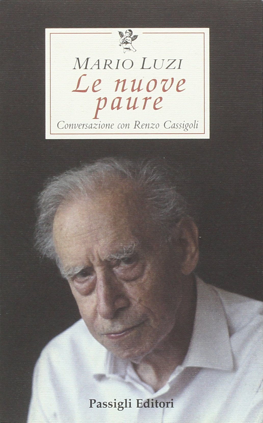 Le nuove paure. Conversazione con Renzo Cassigoli book