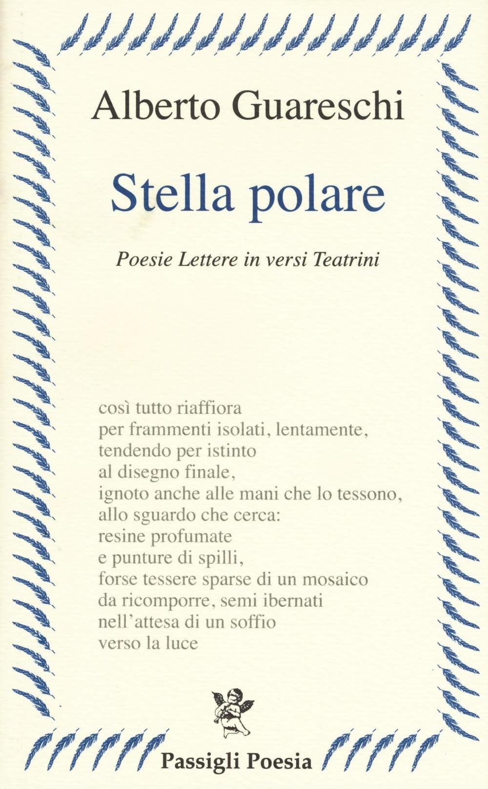 Stella polare. Poesie lettere in versi teatrini book
