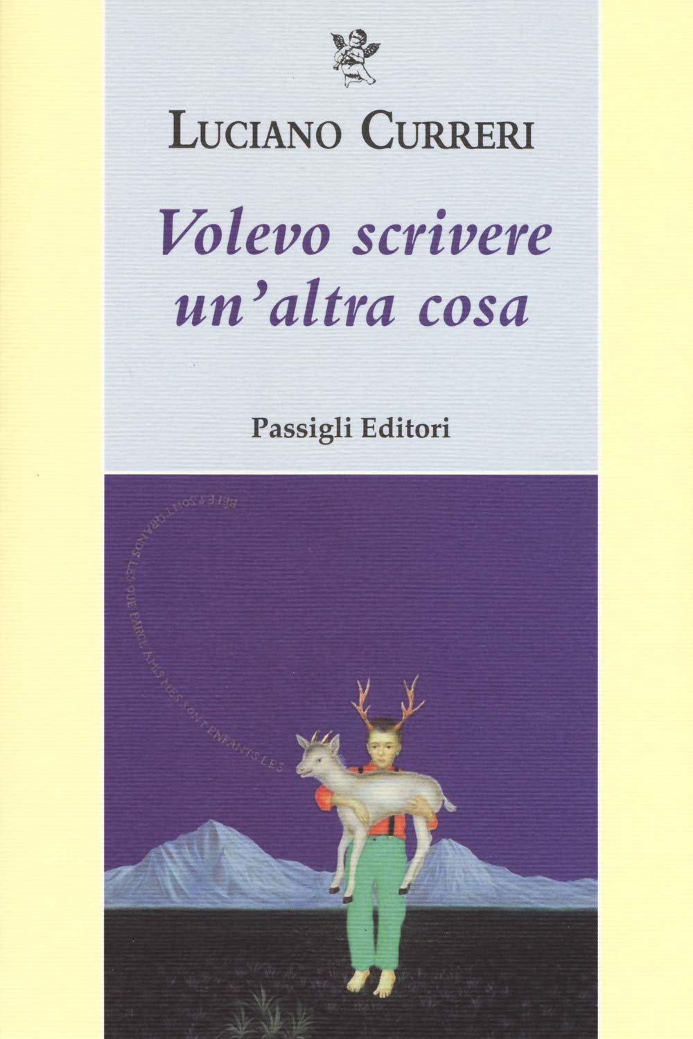 Volevo scrivere un'altra cosa book