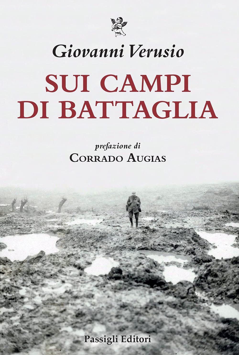Sui campi di battaglia. Da James Brooke a Võ Nguyên Giáp Politics & History
