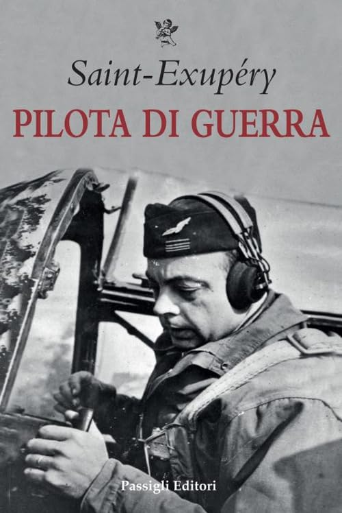 Pilota di guerra book