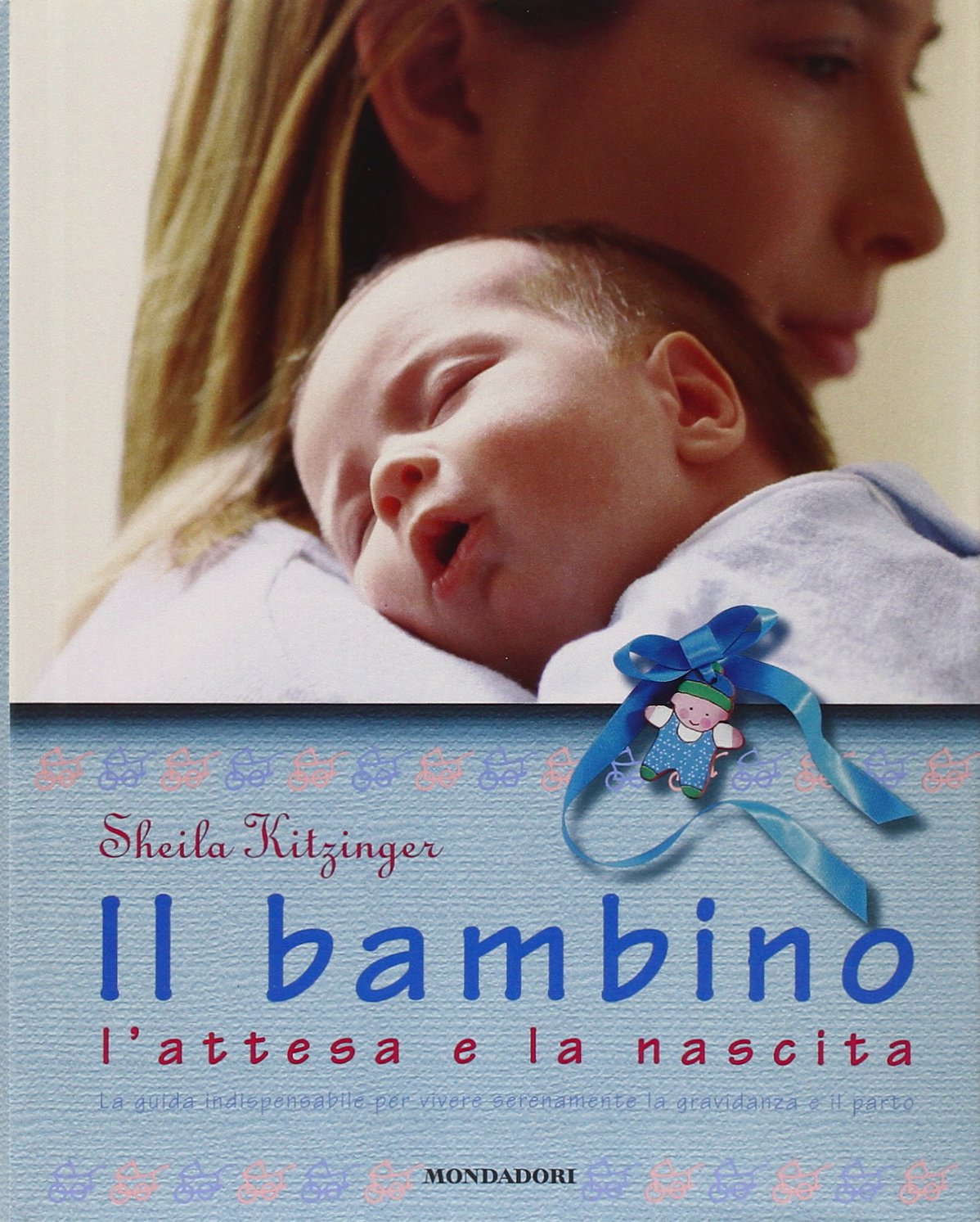 Il bambino, l'attesa e la nascita. La guida indispensabile per vivere serenamente la gravidanza e il parto book