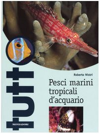Pesci marini tropicali d'acquario. Ediz. illustrata book