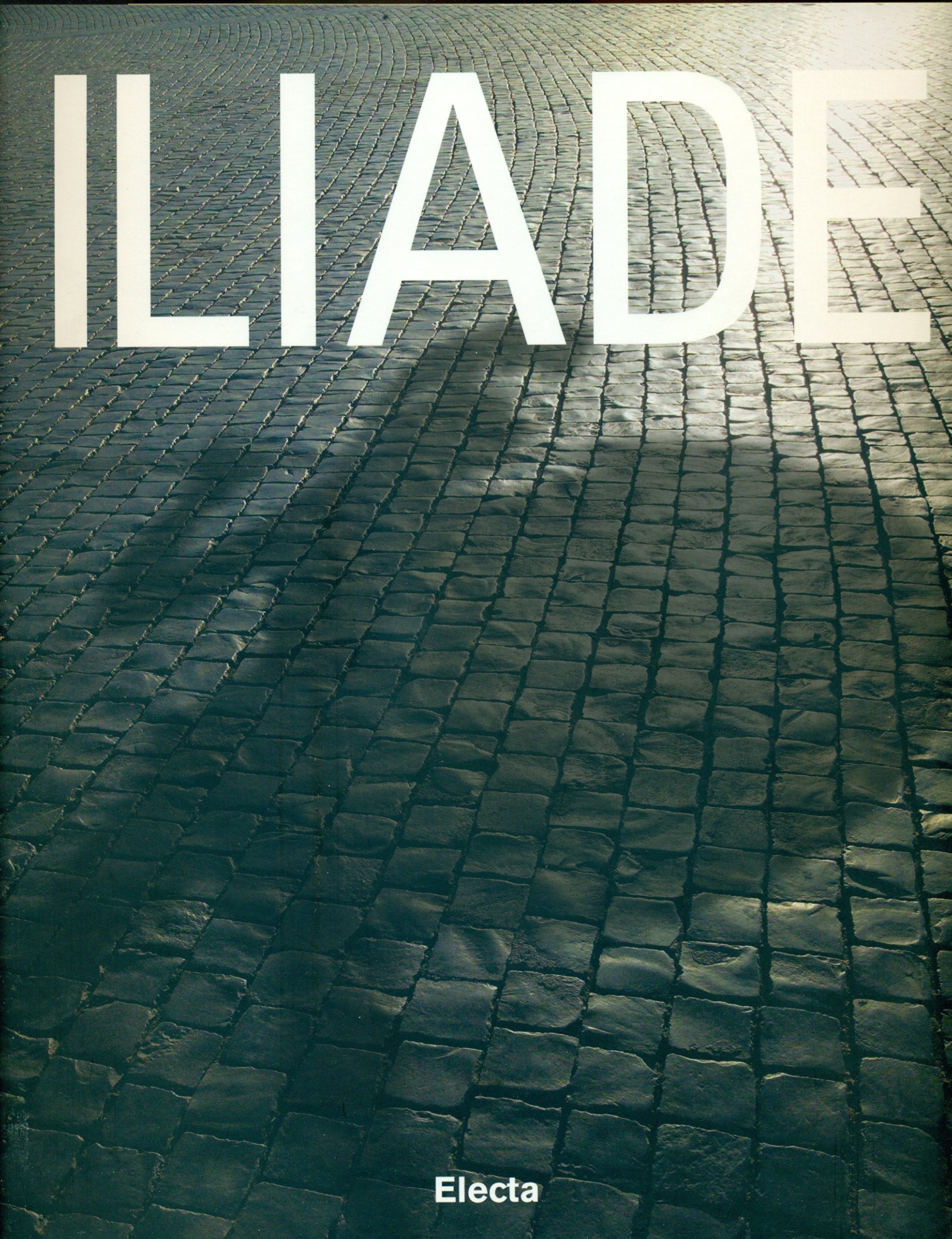 Iliade. Catalogo della mostra (Roma, 9 settembre 2006-25 febbraio 2007). Ediz. illustrata (Cataloghi di mostre) Contemporary literature