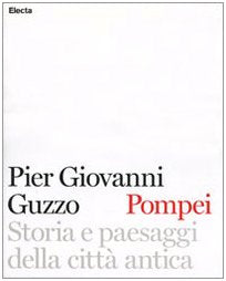 Pompei. Storia e paesaggi della città antica book