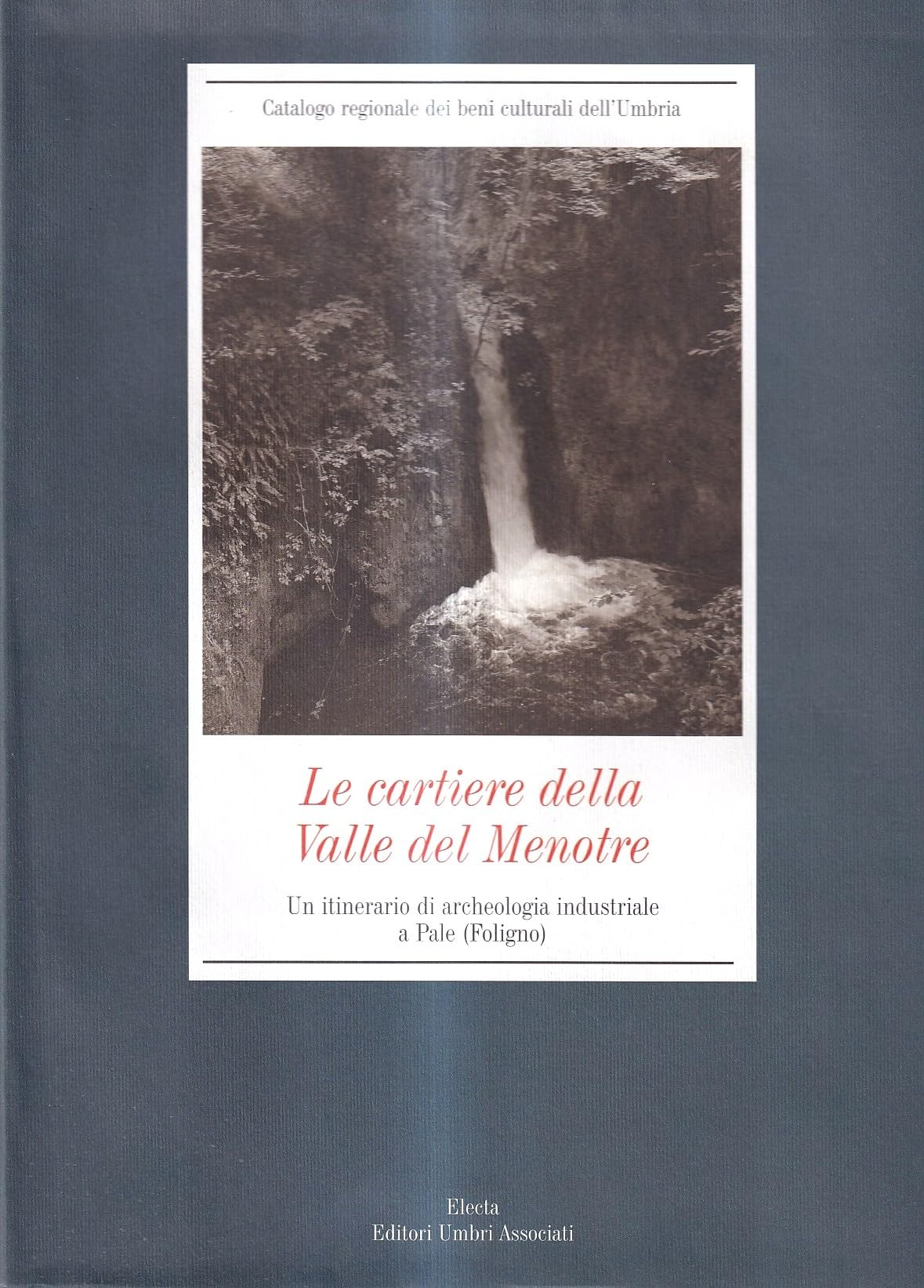 Le cartiere della Valle del Menotre. Un itinerario di archeologia industriale a Pale (Foligno) book