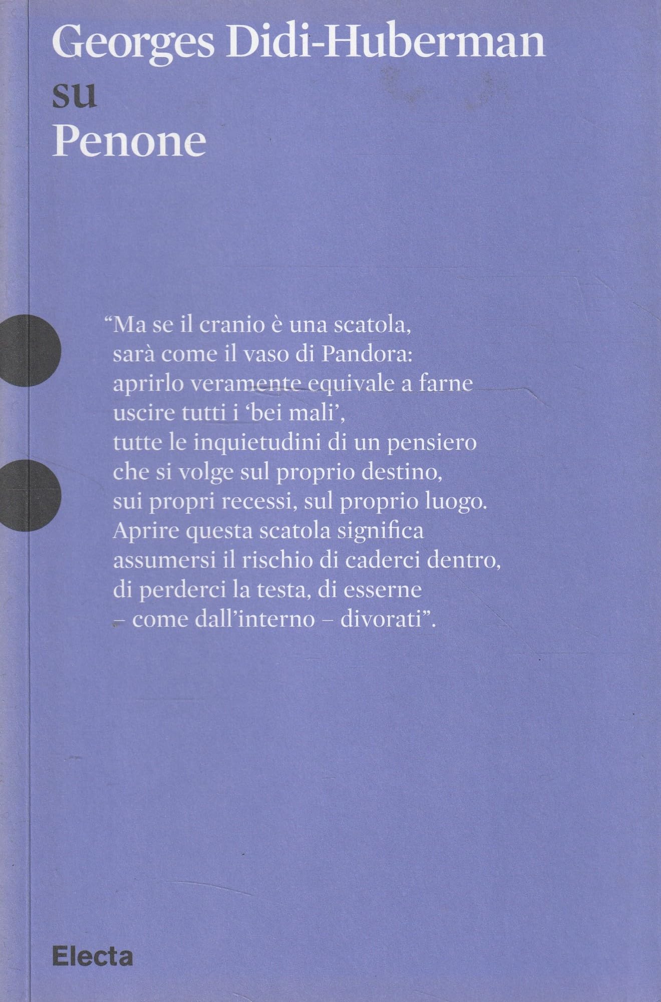 George Didi-Huberman su Giuseppe Penone (Pesci rossi) Film, Art & Culture