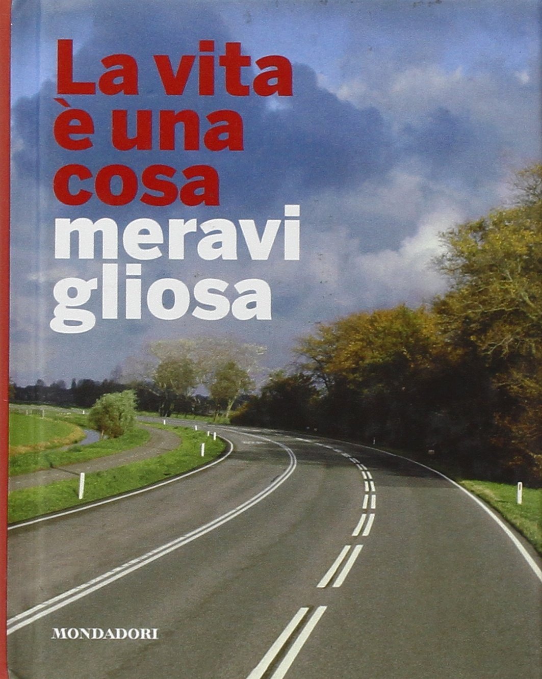 La vita è una cosa meravigliosa. Ediz. illustrata (Libri illustrati) Philosophy