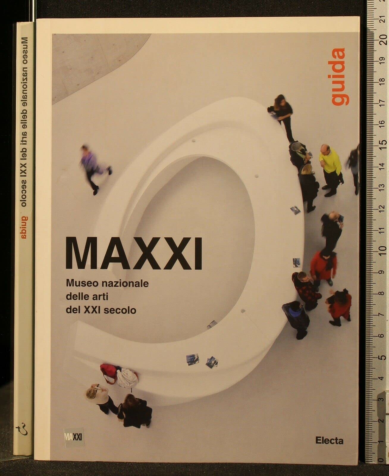 MAXXI Museo nazionale delle arti del XXI secolo. Guida. Ediz. illustrata Leisure, Home & Garden