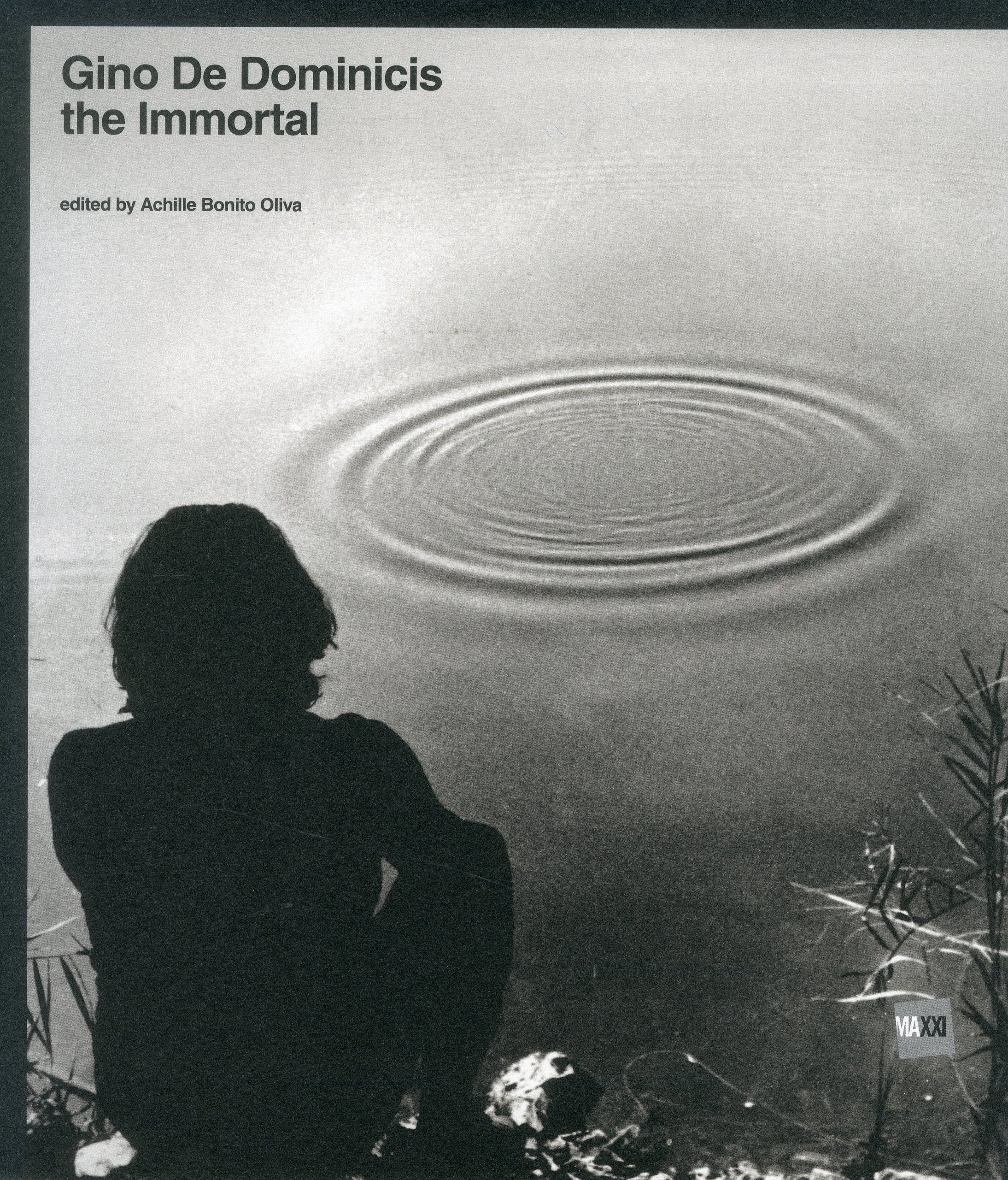 Gino De Dominicis: The Immortal book