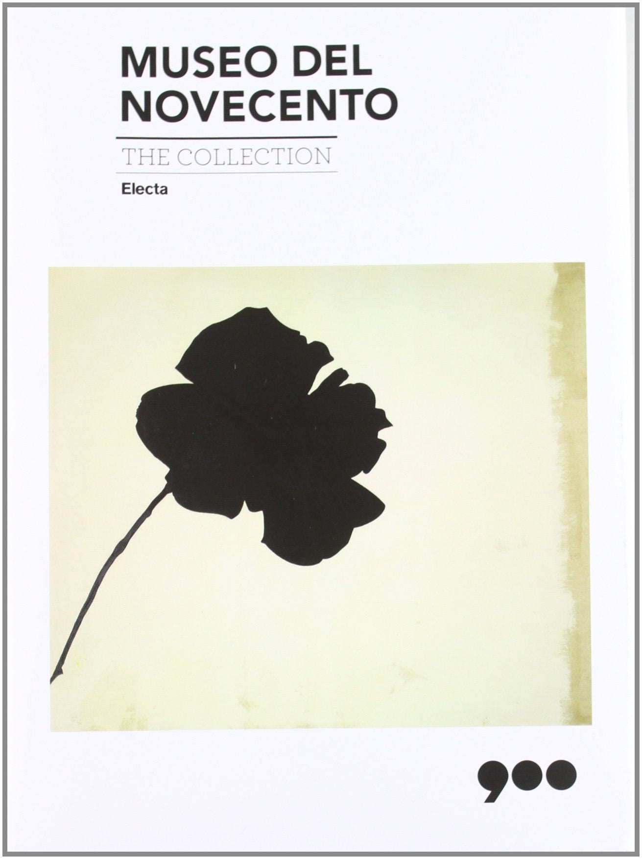 Museo Del Novecento: The Collection book