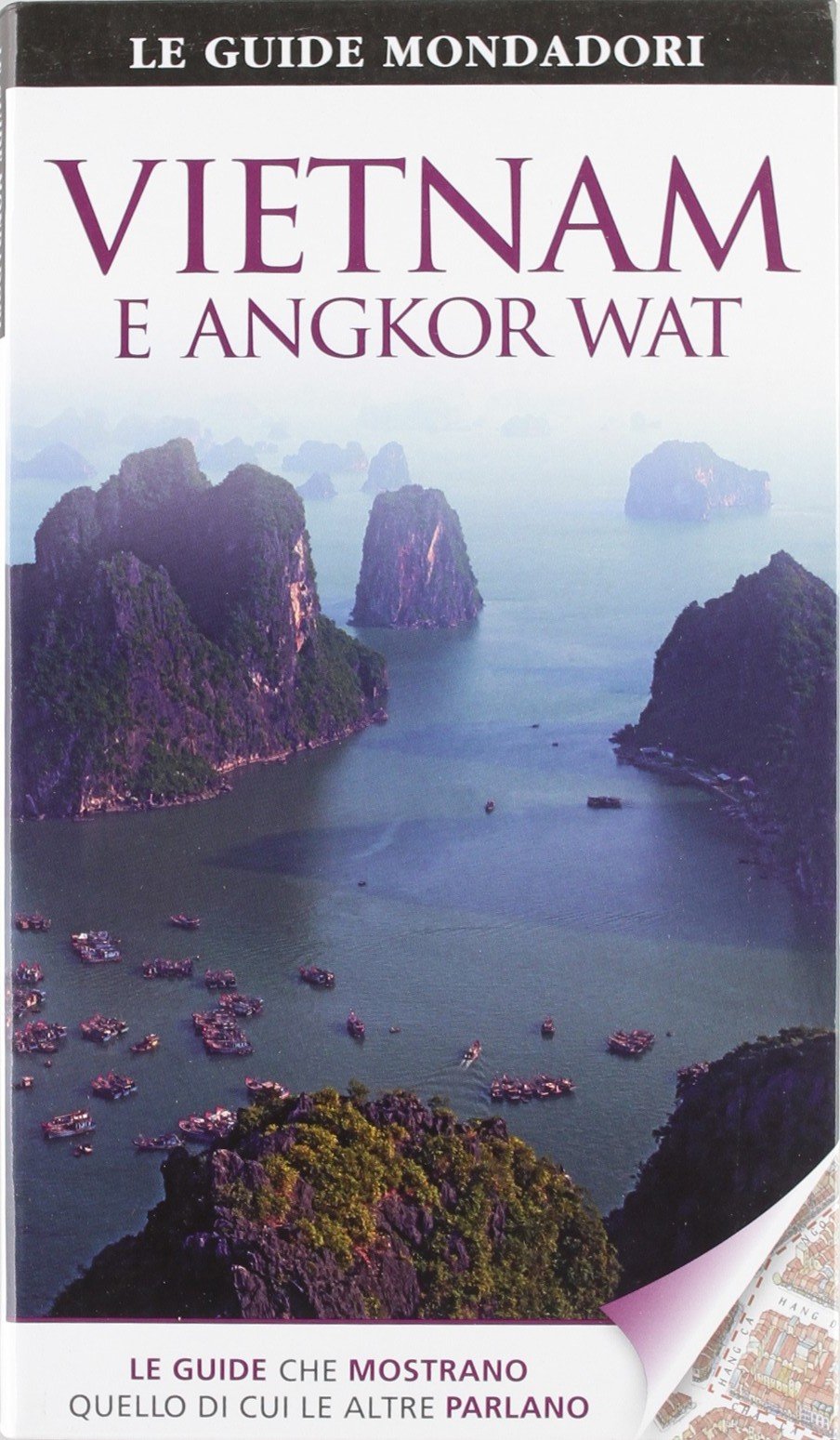 Vietnam e Angkor Wat. Ediz. illustrata book