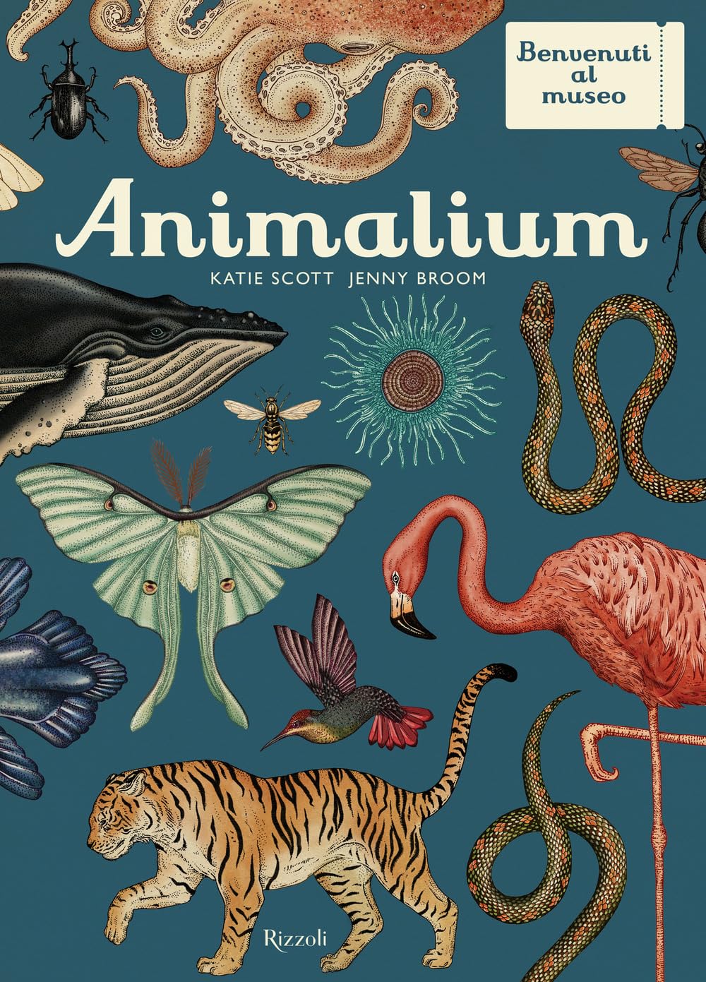 Animalium. Il grande museo degli animali. Ediz. illustrata book