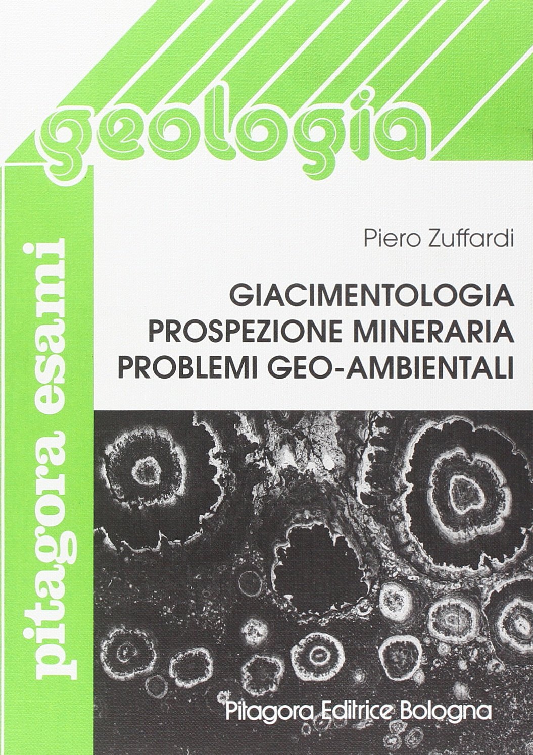 Giacimentologia e prospezione mineraria (Pitagora esami) Business & Technology