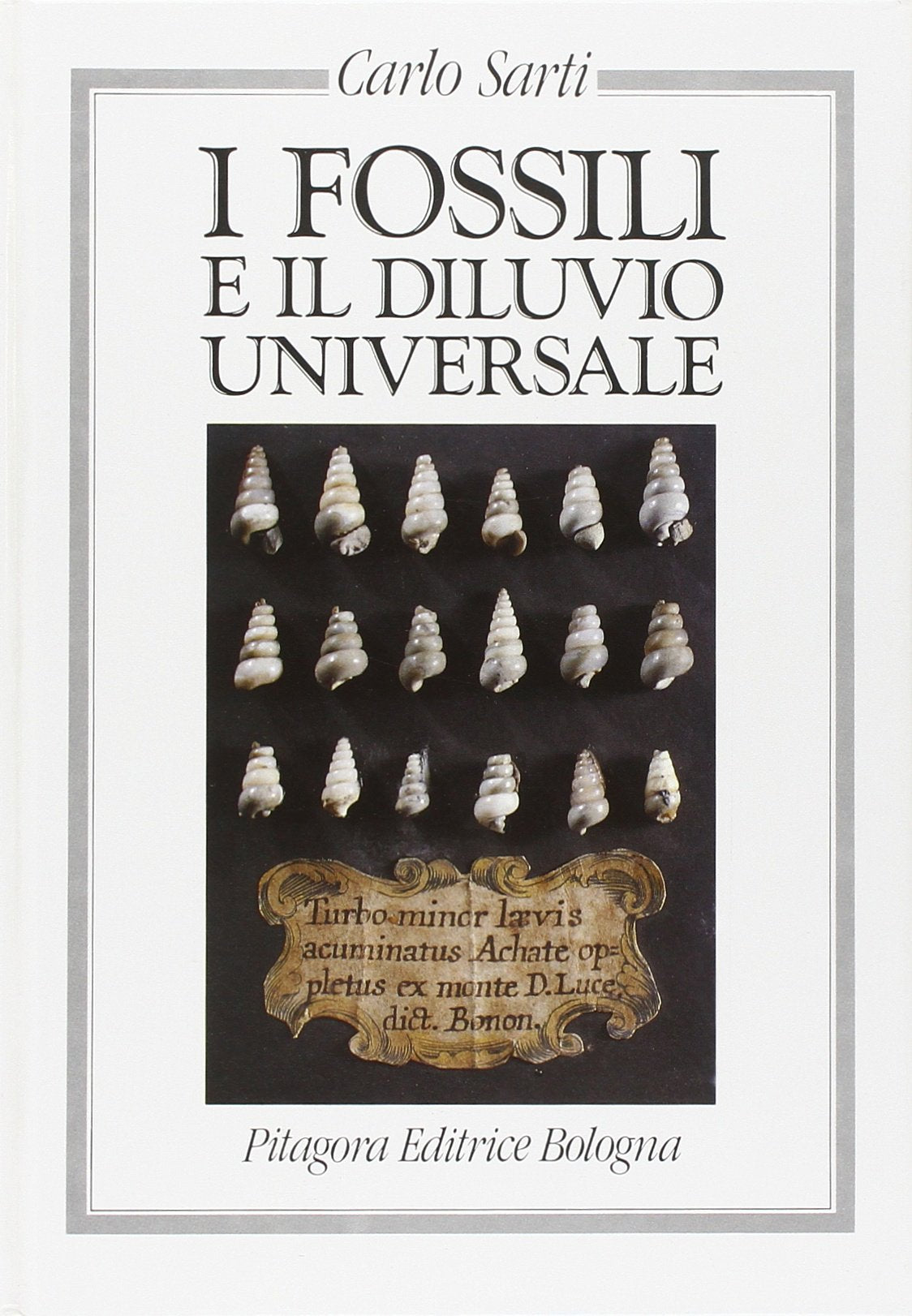 I fossili e il diluvio universale Geology & Geography