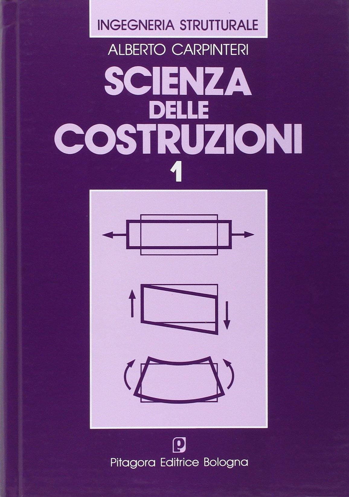 Scienza delle costruzioni (Vol. 1) (Ingegneria strutturale) Business & Technology