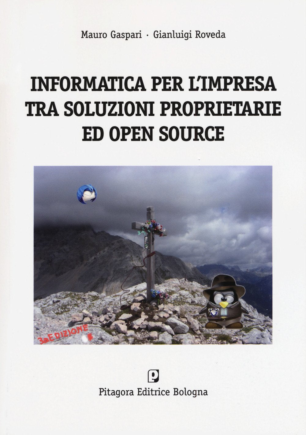 Informatica per l'impresa tra soluzioni proprietarie ed open source book