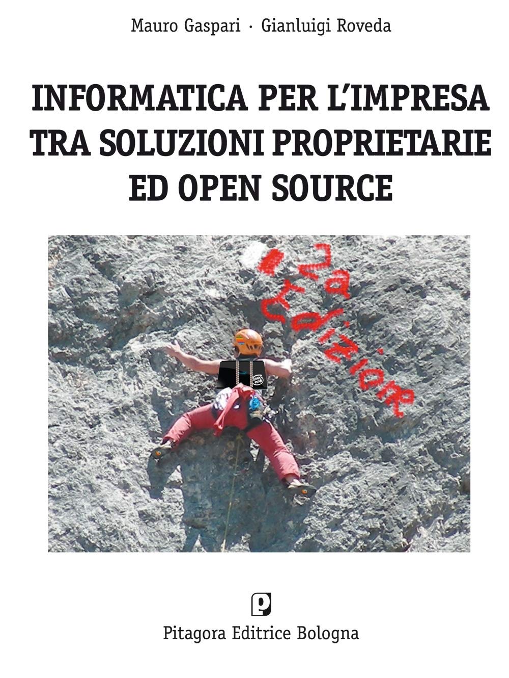 Informatica per l'impresa tra soluzioni proprietarie ed open source book
