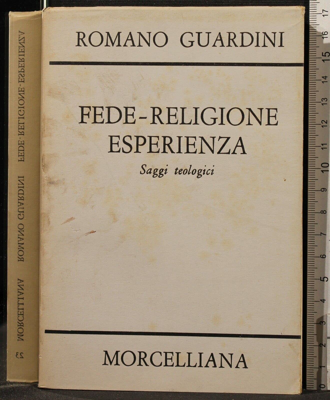Fede, religione, esperienza. Saggi teologici Religion & Esotericism