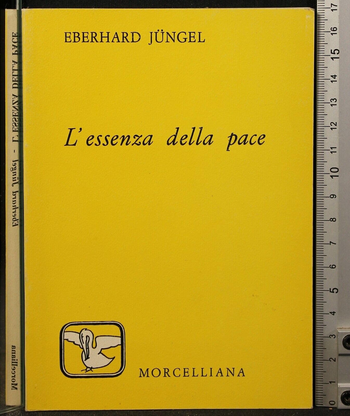L'essenza della pace. Un'antropologia teologica (Il pellicano rosso) Religion & Esotericism