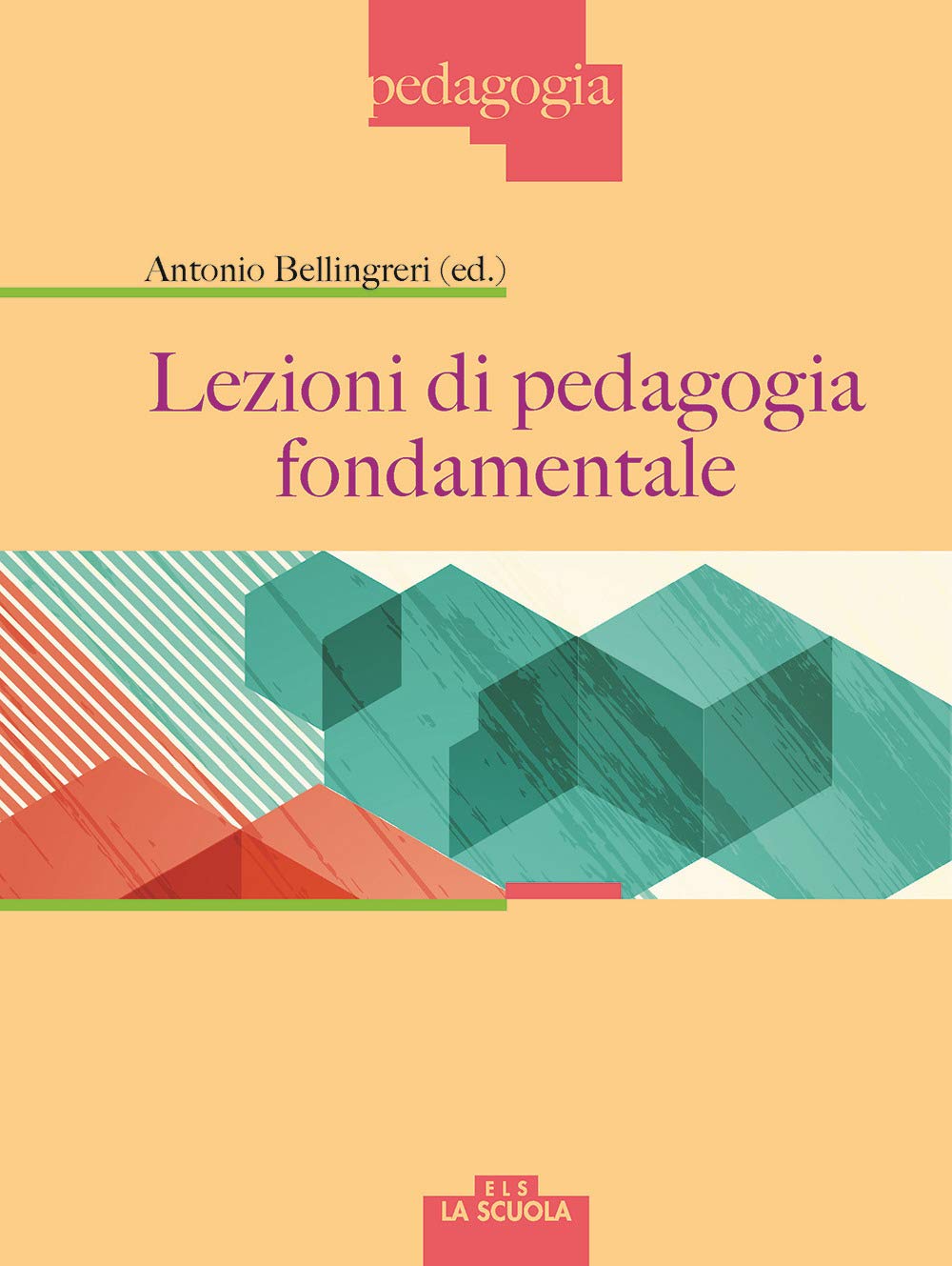 Lezioni di pedagogia fondamentale book