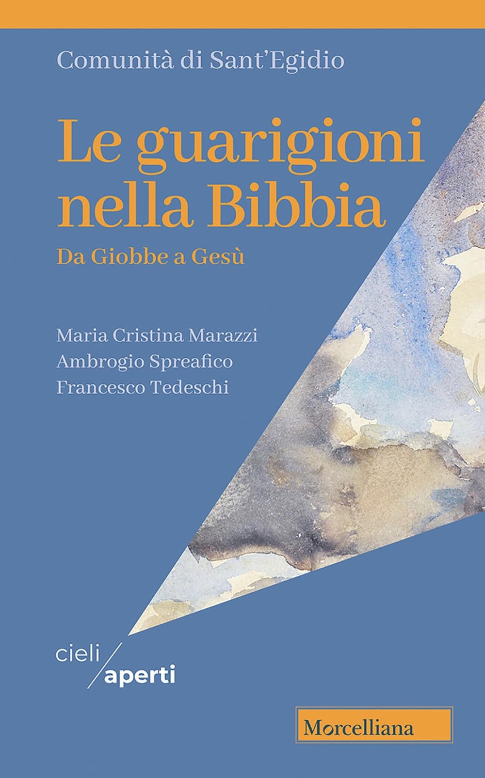 Le guarigioni nella Bibbia. Da Giobbe a Gesù book