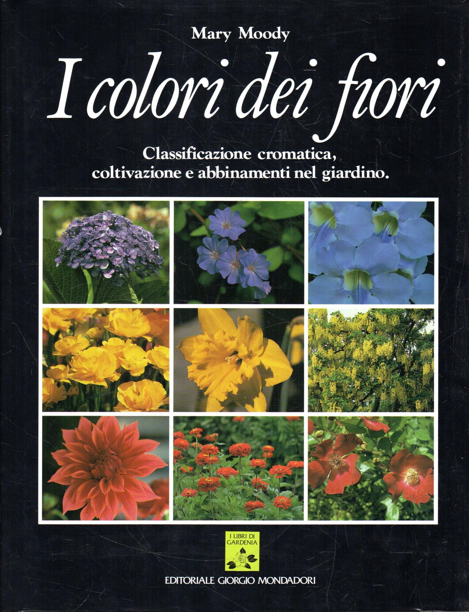 I colori dei fiori book