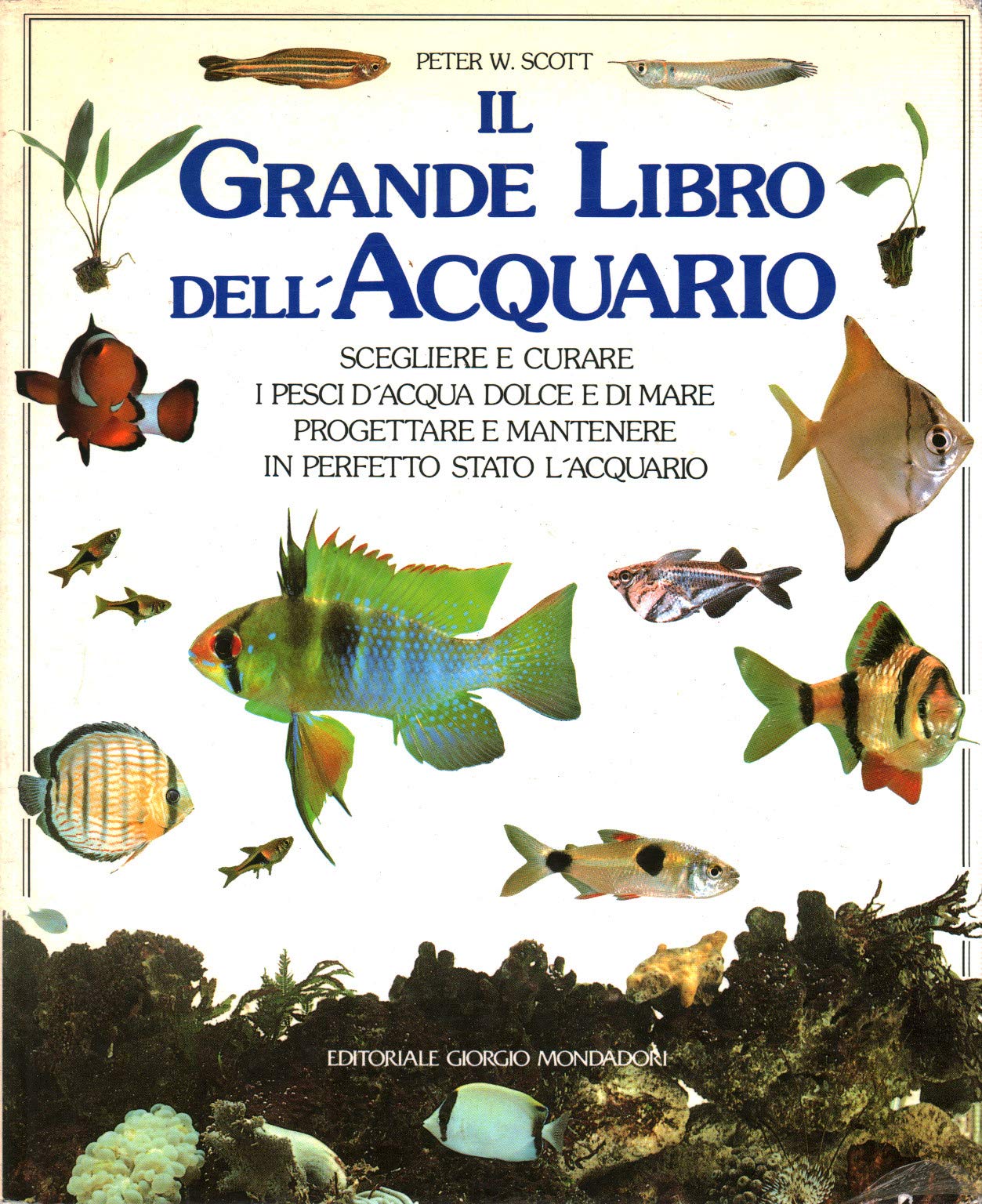 Il grande libro dell'acquario (I grandi libri illustrati) Pets