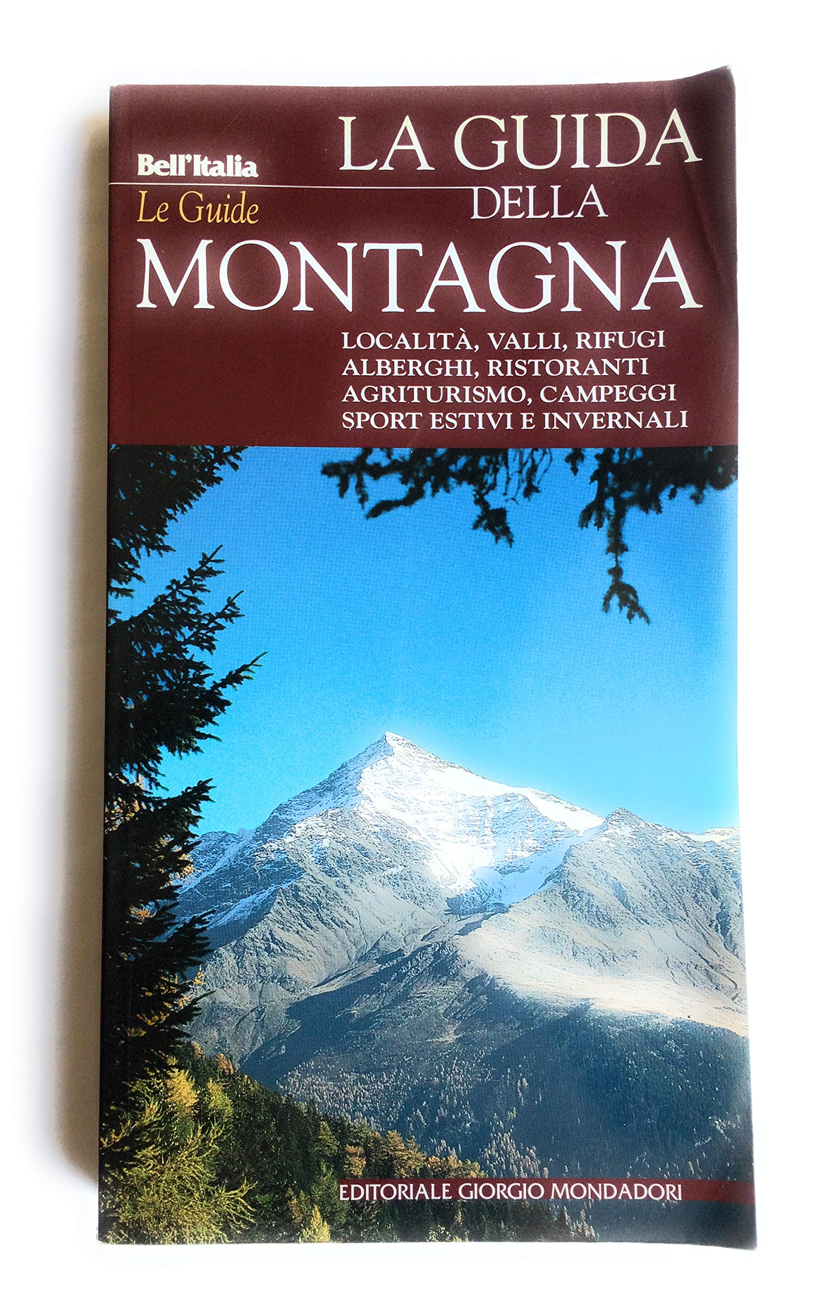 La guida della montagna. Località, valli, comprensori sciistici, rifugi, scuole di roccia (Bell'Italia. Le guide) Leisure, Home & Garden Books