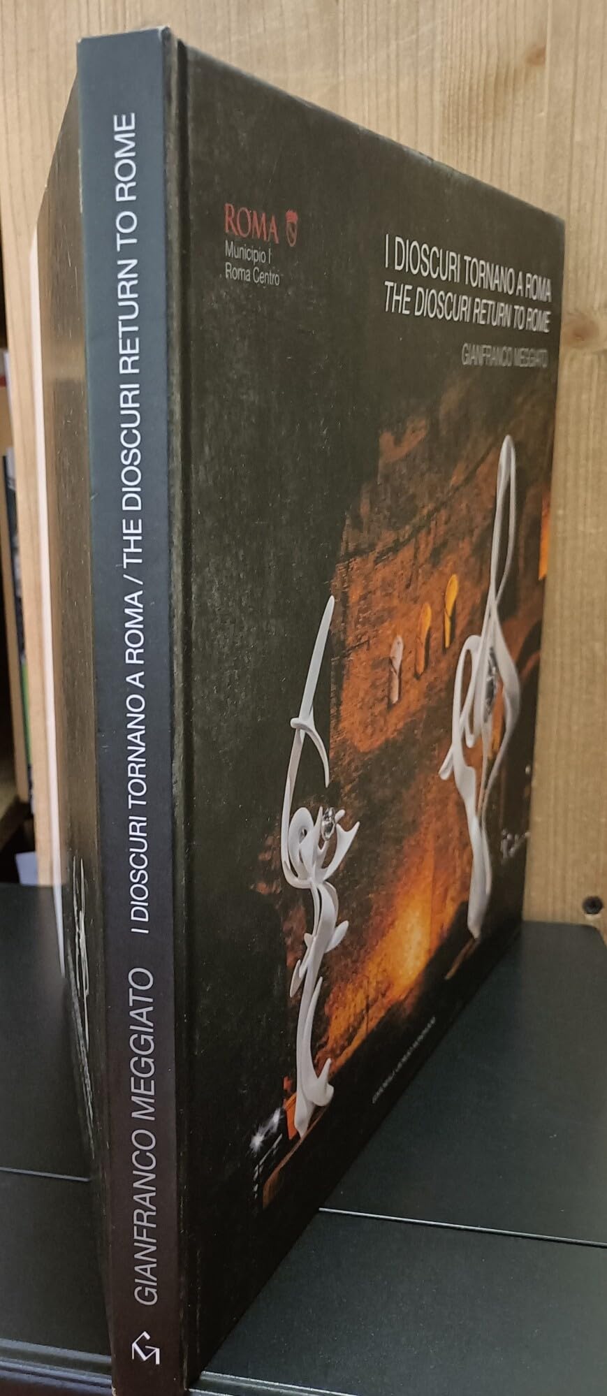 Gianfranco Meggiato. I Dioscuri tornano a Roma-The Dioscuri return to Rome. Catalogo della mostra (Roma, 1 dicembre 2023-29 febbraio 2024) book