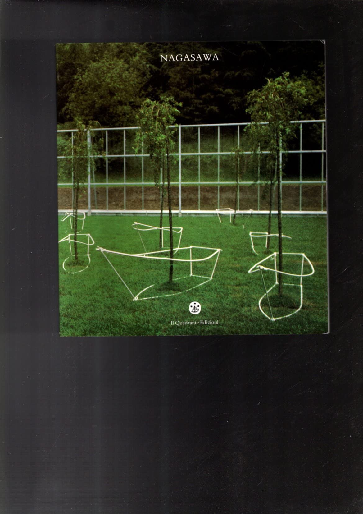 Hidetoshi Nagasawa (Cataloghi. Arte moderna e contemporanea) Books