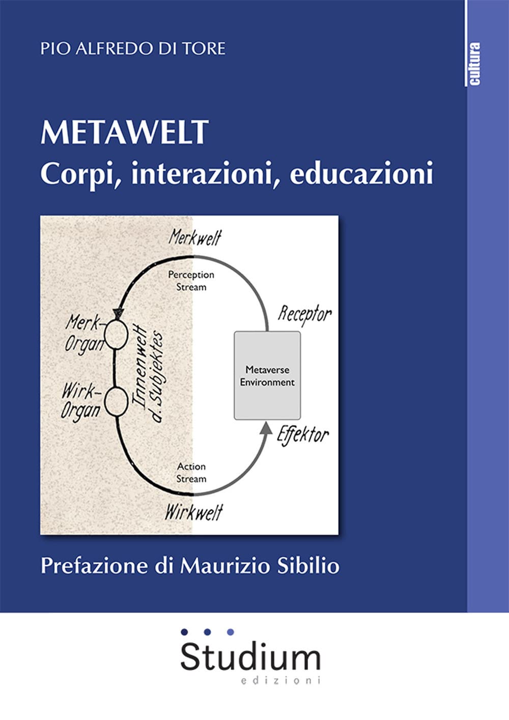 Metawelt. Corpi, interazioni, educazioni book
