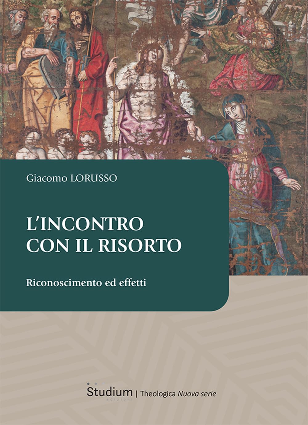 L'incontro con il risorto. Riconoscimento ed effetti book